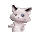 Dancingcat DancingCat Discord Emoji