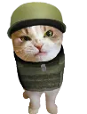 comfycat