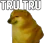 PQ_Tru