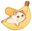 Bananacat bananacat Discord Emoji