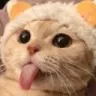 Blep Blep