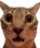 punchmymamainthethroatkaratekick punchmymamainthethroatkaratekick
