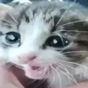 aaaaa