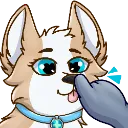 UNF_CorgiBOOP