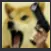 DogeAngiri Discord Emoji