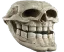 skull_hd