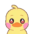 cuteduckwave