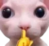 shh