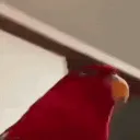 heheheno heheheno