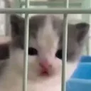 CS_jailed_hehe Discord Emoji