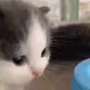 CS_hmm_hehe Discord Emoji