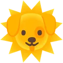 puppysun