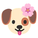 puppyflower