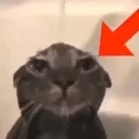 clickbait