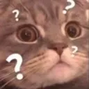 s_confusedcat Discord Emoji