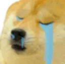 Sad Doge saddoge Discord Emoji