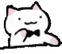 33_kittytap