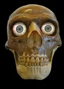 skull