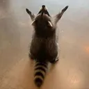 d8b31ebf8abe4cb9f249df06feb5a0be