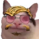 DamoCat DamoCat