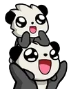 pandaaile
