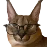 1stFG_SmartFloppa 1stFG_SmartFloppa