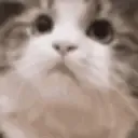 YESIDOTHINKSO YESIDOTHINKSO