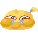 hoolaughsquish