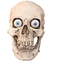 real_skull