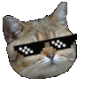 Coolcat coolcat Discord Emoji