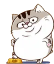 amifatcatamicat amifatcatamicat