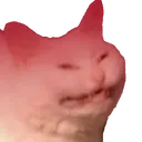 catorage Discord Emoji