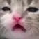 waaa