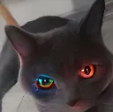 yozgatanimekedi Discord Emoji