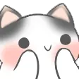 cutecatto