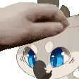 petpet