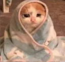 catwarmf