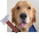 CocoHammer