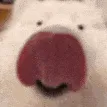 SCHLURP