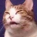 confused_tired