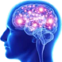 ML_4bigbrain