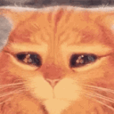 sirens_catplead Discord Emoji