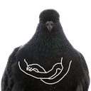 6_Pigeon1