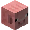 pig
