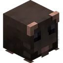 rat