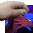 pet