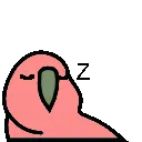 parrotsleep