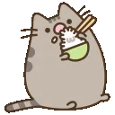 kittynumrice