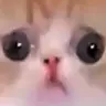 GGD_Kitty_Sad