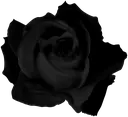 Poison